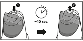 instruction